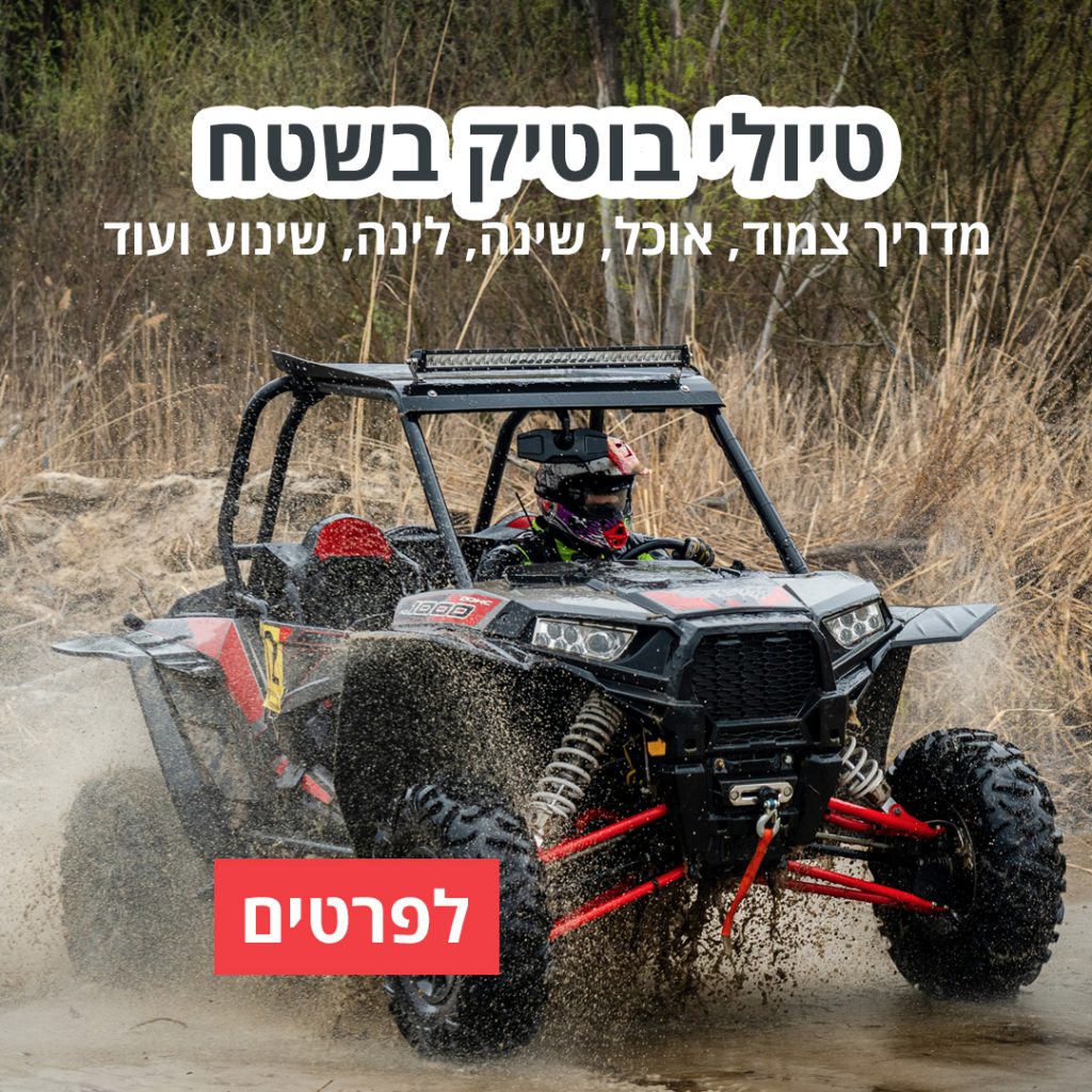 רייזר הצפון